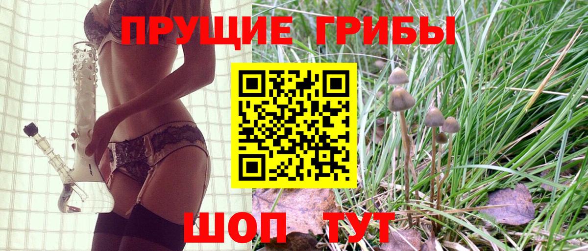 Псилоцибиновые грибы Psilocybe  Вход с VPN  Псилоцибиновые грибы Psilocybine cubensis  Светлоград 